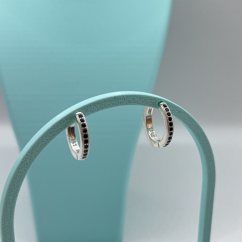 Aros Circón Black - 1cm