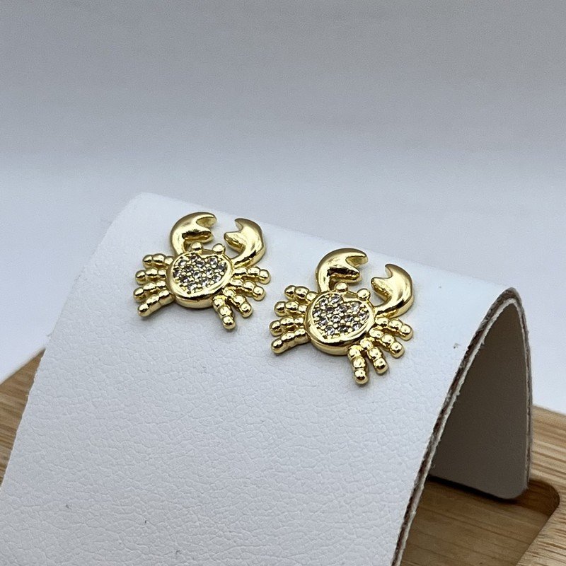 Imagen de Aros con Tope Estilo Cangrejo