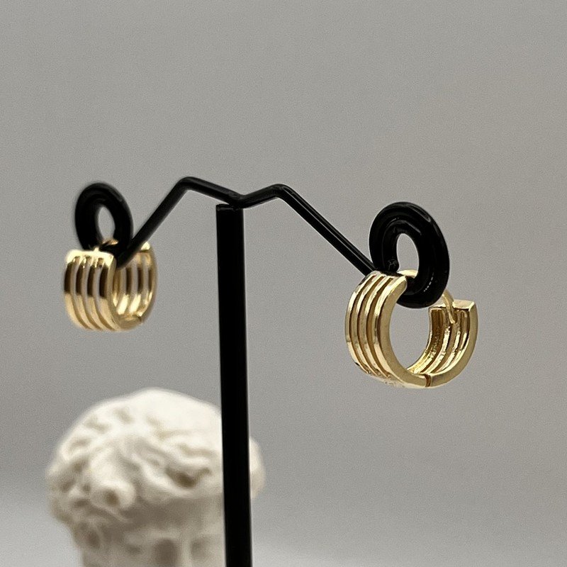 Imagen de Aros Eternos Gold